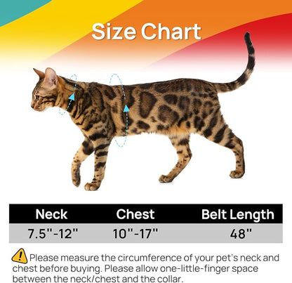Cat Harness and Leash Set - Image 6