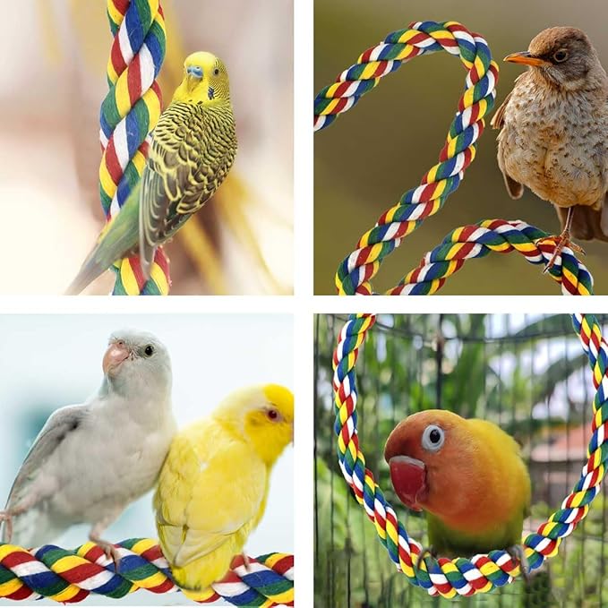 Bird Bungee Climbing Swing - Image 3