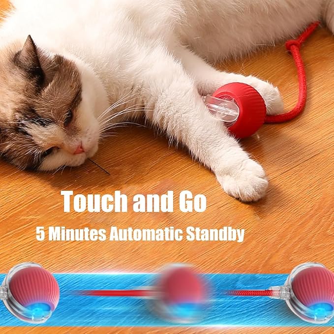 Interactive Cat Toy, Electric Dog BallToy, Cat Toys - Image 9