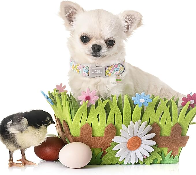 Unique style paws Easter Day Dog Collar Plastic Buckle Collar - Image 4