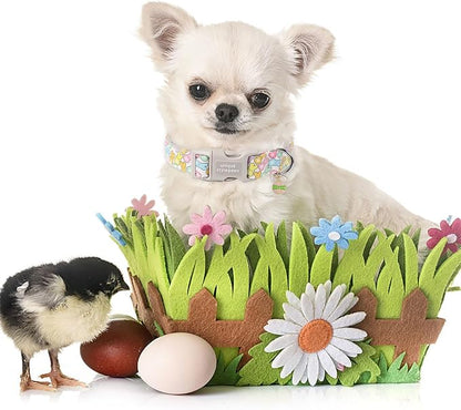 Unique style paws Easter Day Dog Collar Plastic Buckle Collar - Image 4