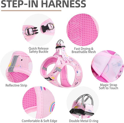 PUPTECK Adjustable Dog Harness Collar and Leash Set, Step in No Pull Pet Harness - Image 2