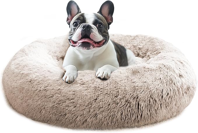 JOLLYVOGUE Calming Small Dog & Cat Bed by JOLLYVOGUE