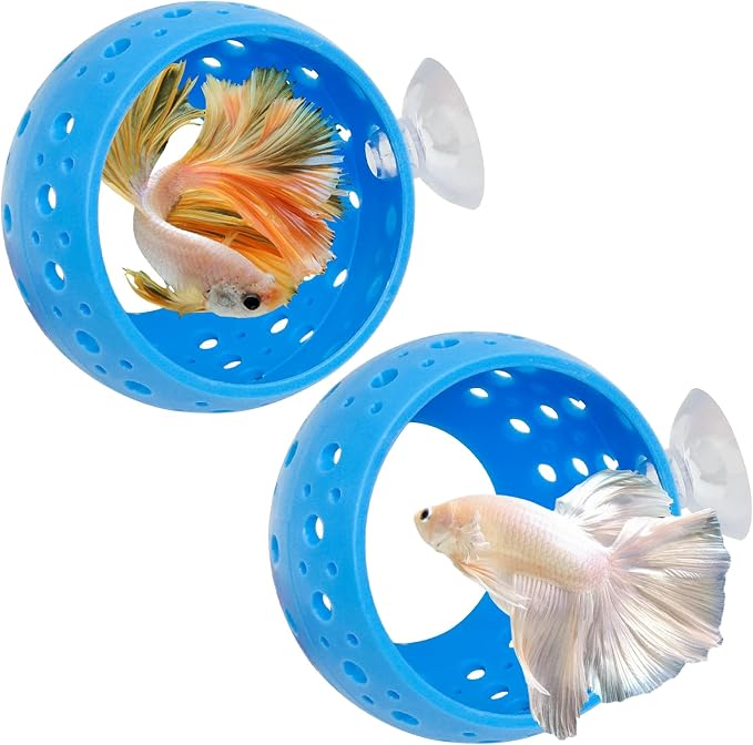 Fhiny Betta Tunnel by Fhiny