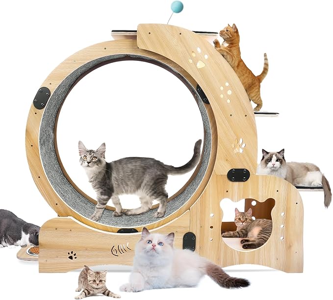 Cat Running Wheel, Cat Treadmill by Unknown