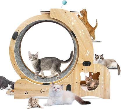 Cat Running Wheel, Cat Treadmill by Unknown