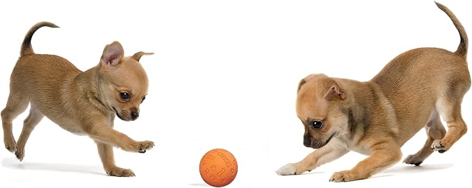 Snug Rubber Dog Balls for Small and Medium Dogs - Image 5