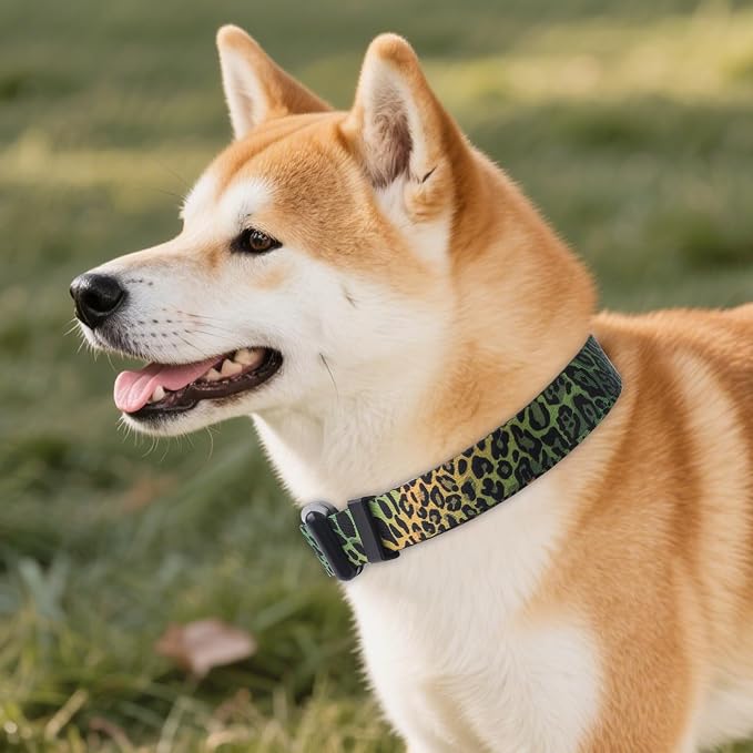 QQPETS Adjustable Soft Dog Collar: Print Flower Pink Multicolor Cute Patterns - Image 2