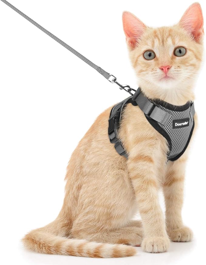 Dooradar Cat Harness and Leash Set, Escape Proof Safe Adjustable Kitten Vest by Dooradar