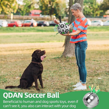 QDAN Dog Soccer Balls Toy with Bell Inside, Outdoor Interactive Dog Toys - Image 6