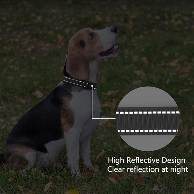 Reflective Dog Collar Padded - Image 5