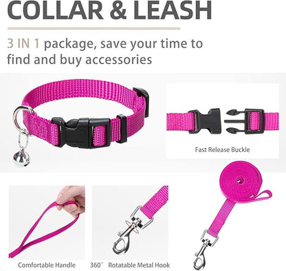 PUPTECK Adjustable Dog Harness Collar and Leash Set Step in No Pull Pet Harness - Image 4