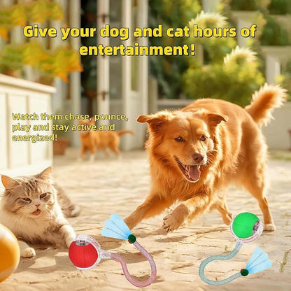 2 PCS Interactive Cat Toy Rolling Ball - Image 7