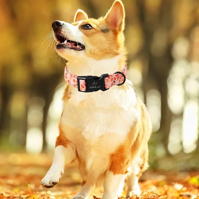 Fall Dog Collar, Cute Football Pattern Puppy Collar - Image 2