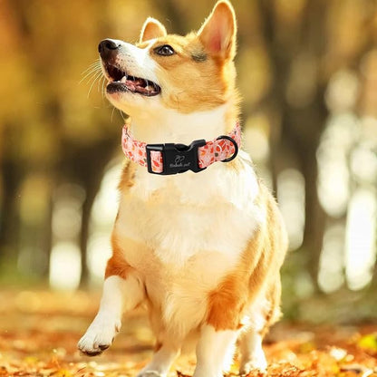 Fall Dog Collar, Cute Football Pattern Puppy Collar - Image 2