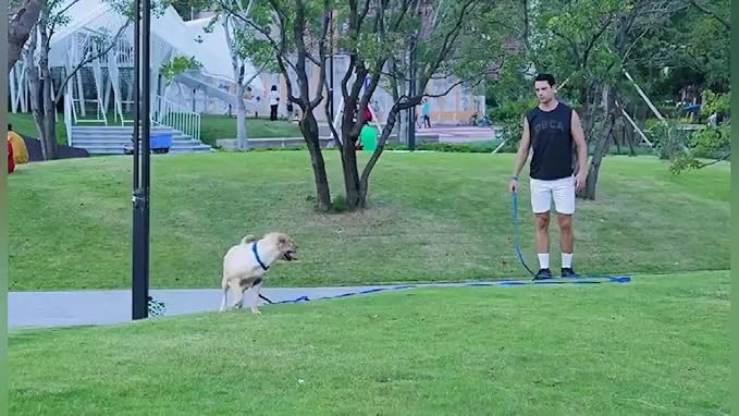 AMAGOOD Long Dog Leash for Training 15FT 20FT 30FT 50FT 100FT Long Dog Lead for - Image 4