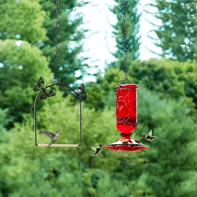 Hummingbird Swing 2 Pack Attractive Hummingbird Perch - Image 7