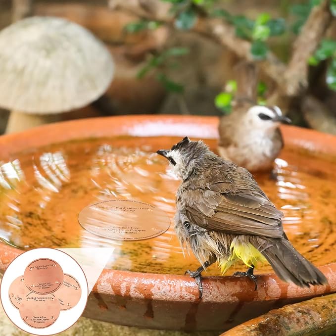 8 Pcs Bird Bath Copper Disk, 0.6mm Thick Reinforced 99.99% Pure Copper Birdbath - Image 6