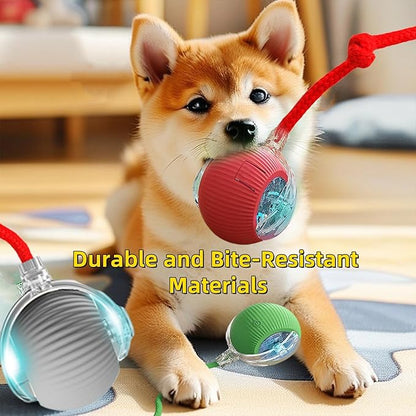 Interactive Dog Cat Toy Ball, Automatic Moving Bouncing Rolling, - Image 5