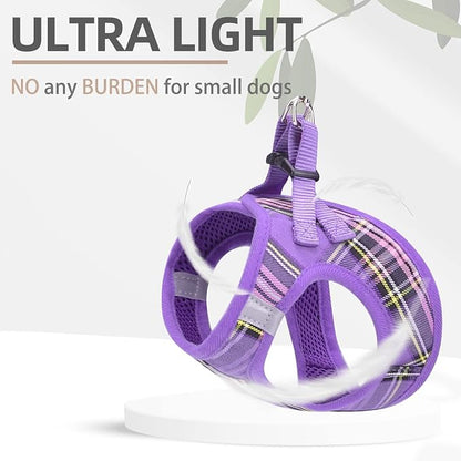 PUPTECK Adjustable Dog Harness Collar and Leash Set Step in No Pull Pet Harness - Image 5