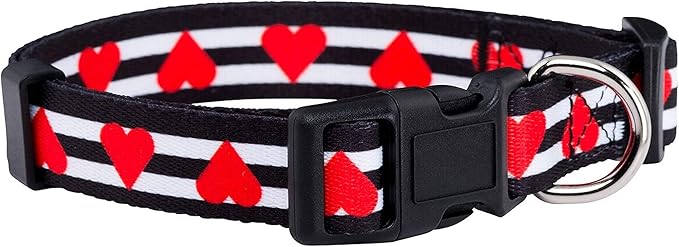 Native Pup Valentine’s Dog Collar- Valentines Day Pet Collars- Valentine Girly by NativePup