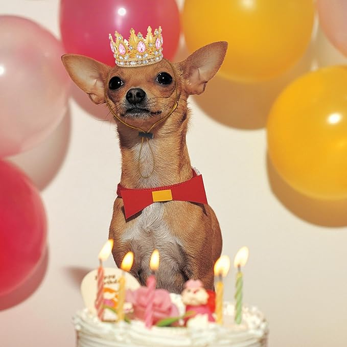 Abbylike Pet Rhinestone King Crown, Queen Crown - Image 7