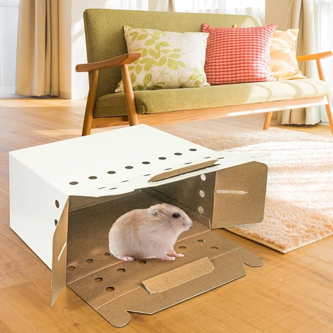 Disposable Cardboard Pet Carrier - Image 4
