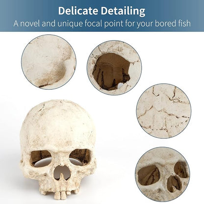 Uniclife Aquarium Skull Reptile House Decor Resin Head Skeleton Ornament - Image 3