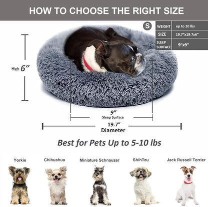 Small Calming Dogs Bed for Small Dogs Anti-Anxiety Machine Washable Fluffy - Image 4