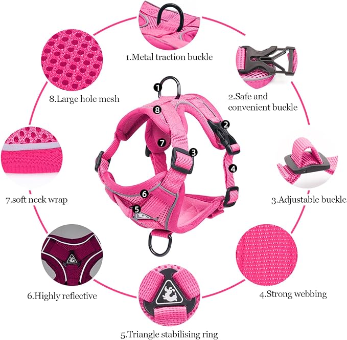 Wanheart Summer cat Chest Harness and Leash, Anti-Escape Adjustable Soft mesh - Image 3