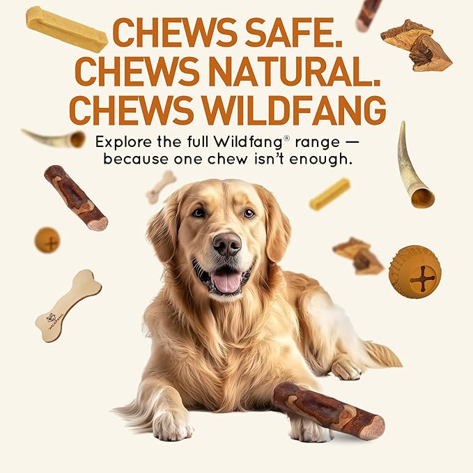 Wildfang® Olive Wood Chewing Sticks - Image 6