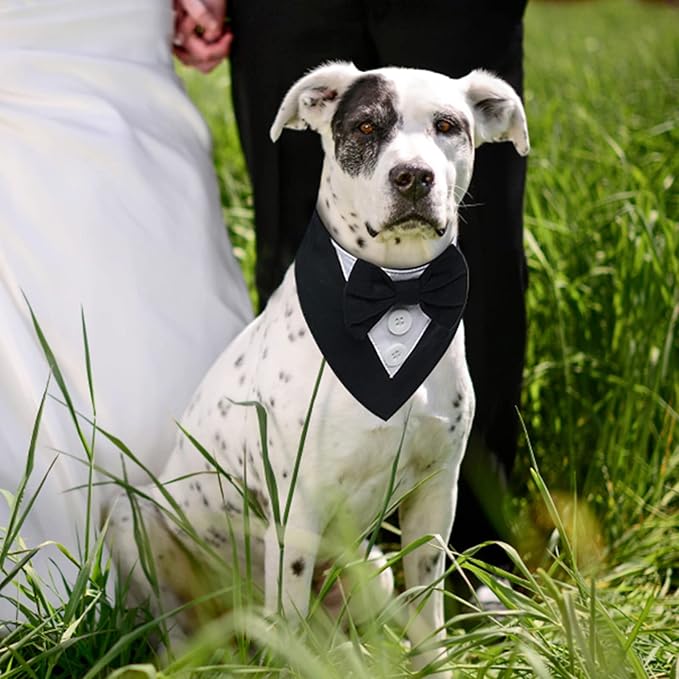 FUAMEY Dog Tuxedo for Small Dogs, Dog Formal Suit Dogs Attire Pet Bow Tie Puppy - Image 2