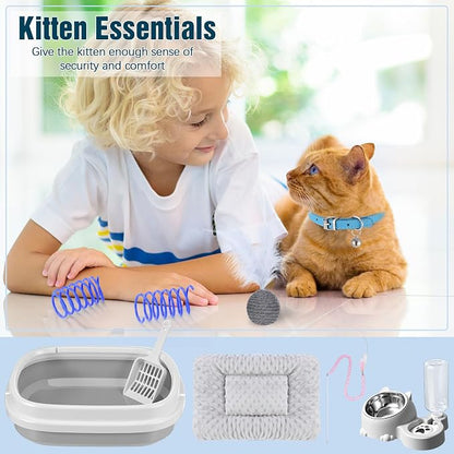 Eccliy Kitten Starter Kit, Pet Toy, Folding Carrier, Climbing Frame, Automatic - Image 4
