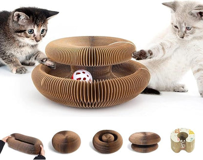 Kitty Curlz Cat Scratching Board, Magic Organ Cat Toy, Made of Recyclable by Unknown