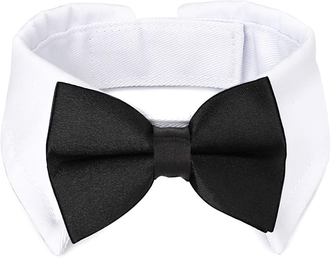 Segarty Black Bow Tie Dog Collar by Segarty