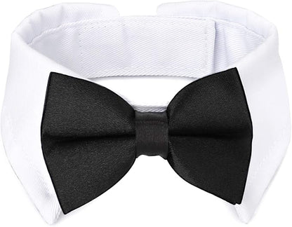 Segarty Black Bow Tie Dog Collar by Segarty