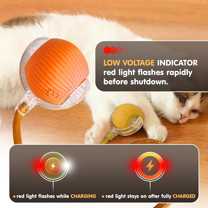 Rocfish Durable Interactive Cat Toys - Image 8