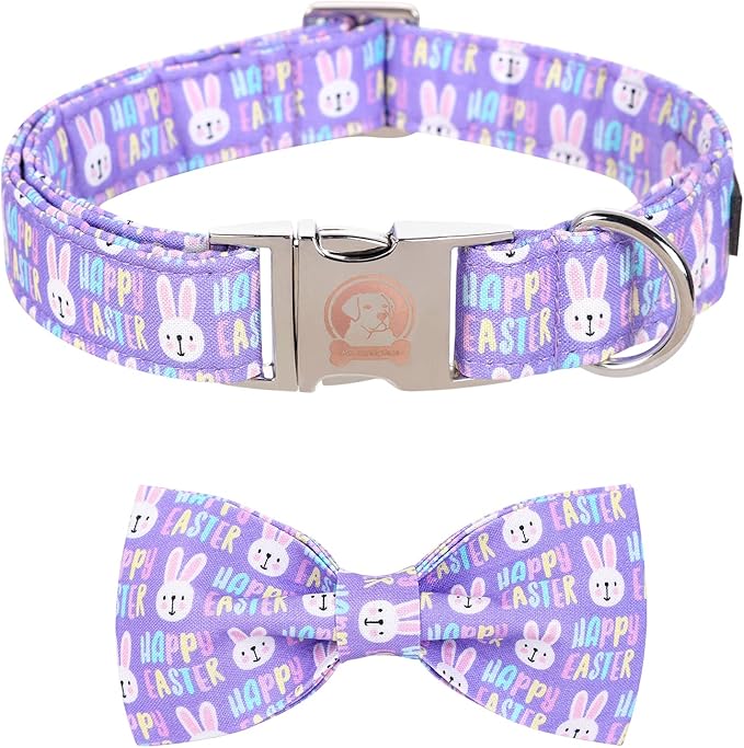 MR. CHUBBYFACE Easter Dog Collar Rabbit Puppy Collar by MrChubbyfacePetSupplies