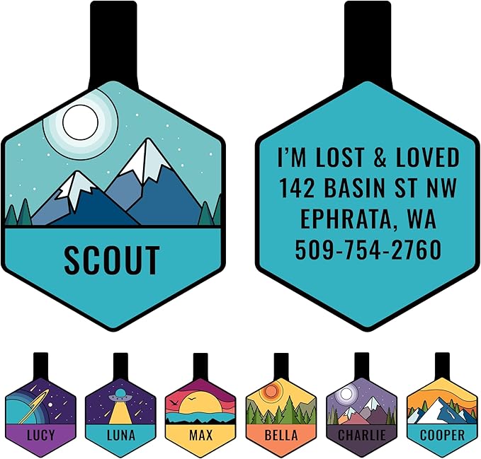 GoTags Silent Dog Tag, Personalized Engraved Hexagon Silicone Dog and Cat Name by GoTags
