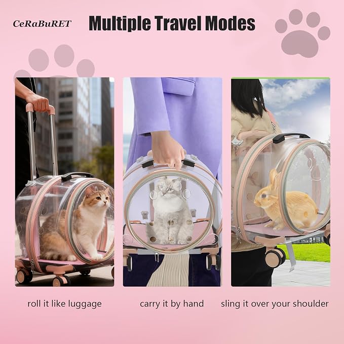 Transparent & Fully Breathable Hard Cat Carrier - Image 5