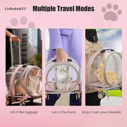 Transparent & Fully Breathable Hard Cat Carrier - Image 5