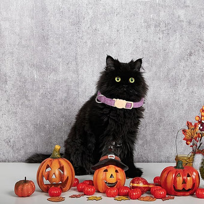 Halloween Cat Collar-2 Pack Cat Collar Orange and Purple Linnet - Image 5