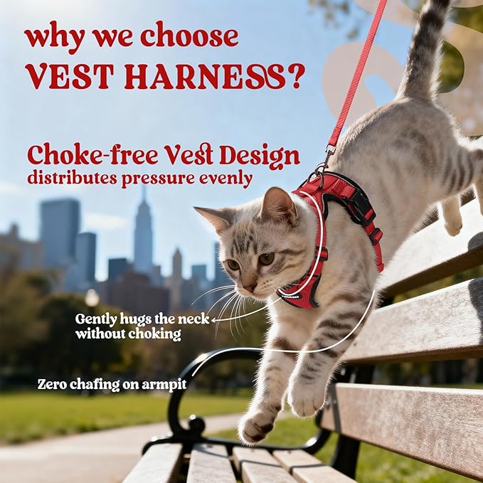 rabbitgoo Cat Harness and Leash - Image 3