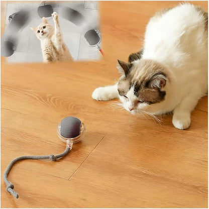 Interactive Cat Toys for Indoor Cats, Agility Move Cat Balls, Motion Activated by Goodqualityforyou