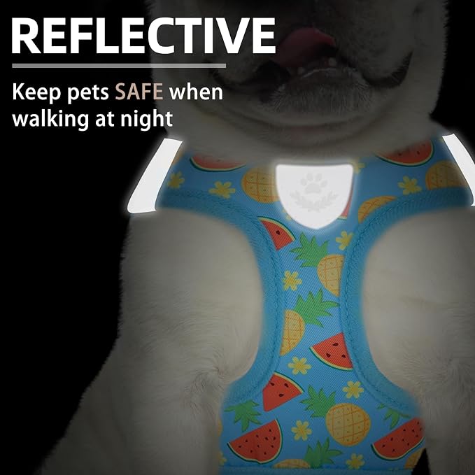 PUPTECK Adjustable Dog Harness Collar and Leash Set Step in No Pull Pet Harness - Image 5