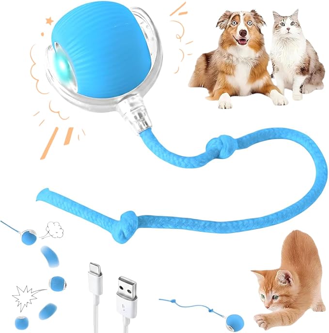 Interactive Electric Automatic Rolling Moving Rechargeable Self Play by Unknown
