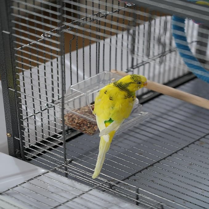 Bird Flight Cage 16 x 16 x 20 Inch, Wrought Iron Parrot Cage - Image 6