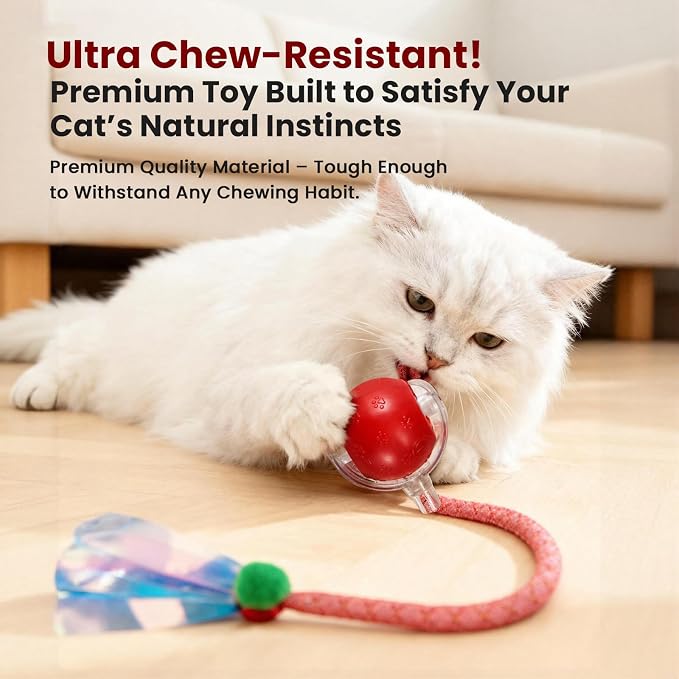 Rocfish Interactive Cat Toy for Indoor Cat, Smart Automatic Cat Chase Ball Toy - Image 5