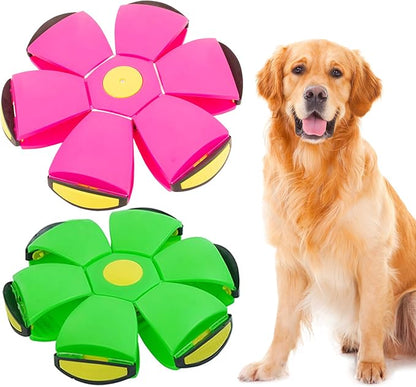 Dog Flying Disc, Pet Toy Flying Saucer Ball by BADWALT