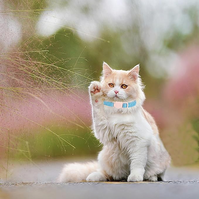 Cat Collar-2 Pack Cat Collar Blue and Pink Linnet - Image 6